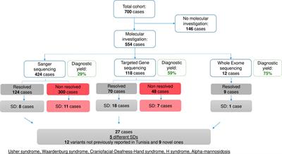 Current phenotypic and genetic spectrum of syndromic deafness in Tunisia: paving the way for precision auditory health